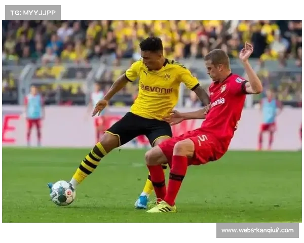 德甲俱乐部股价波动，多特蒙德上市表现稳健